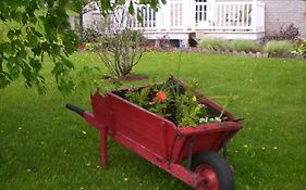 Gite Au P'Tit Bonheur B&B